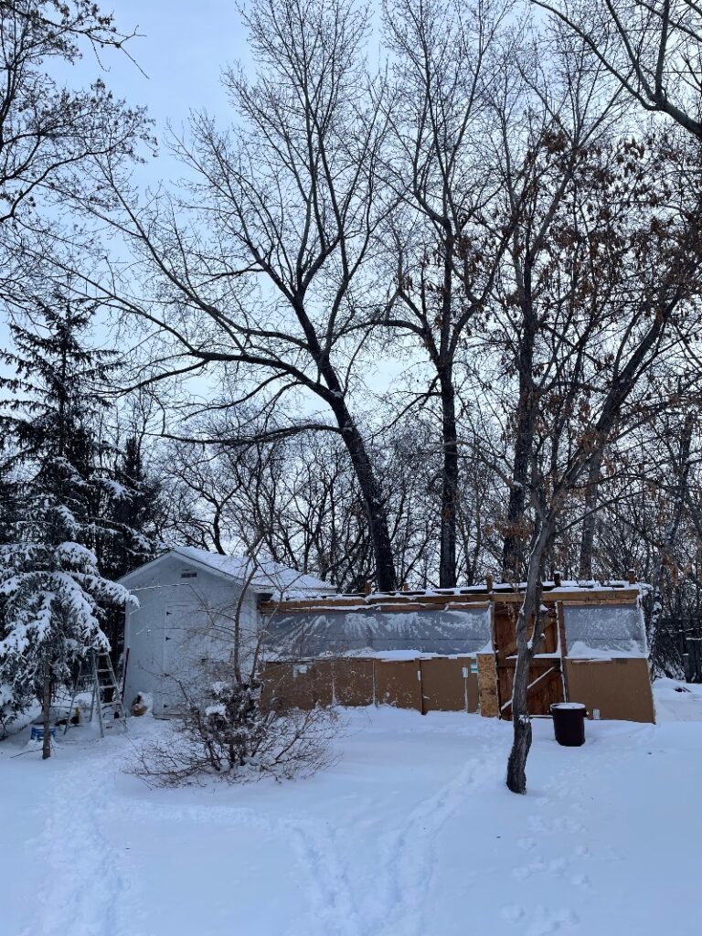 chicken coop with winter-protected run on a cold winter day