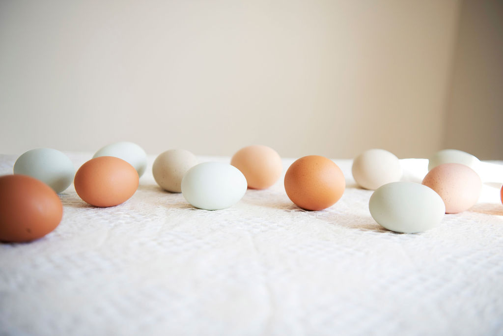 brown, green and white eggs